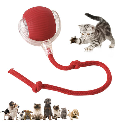 Viral Rolling Ball,Interactive Cat Ball Toy