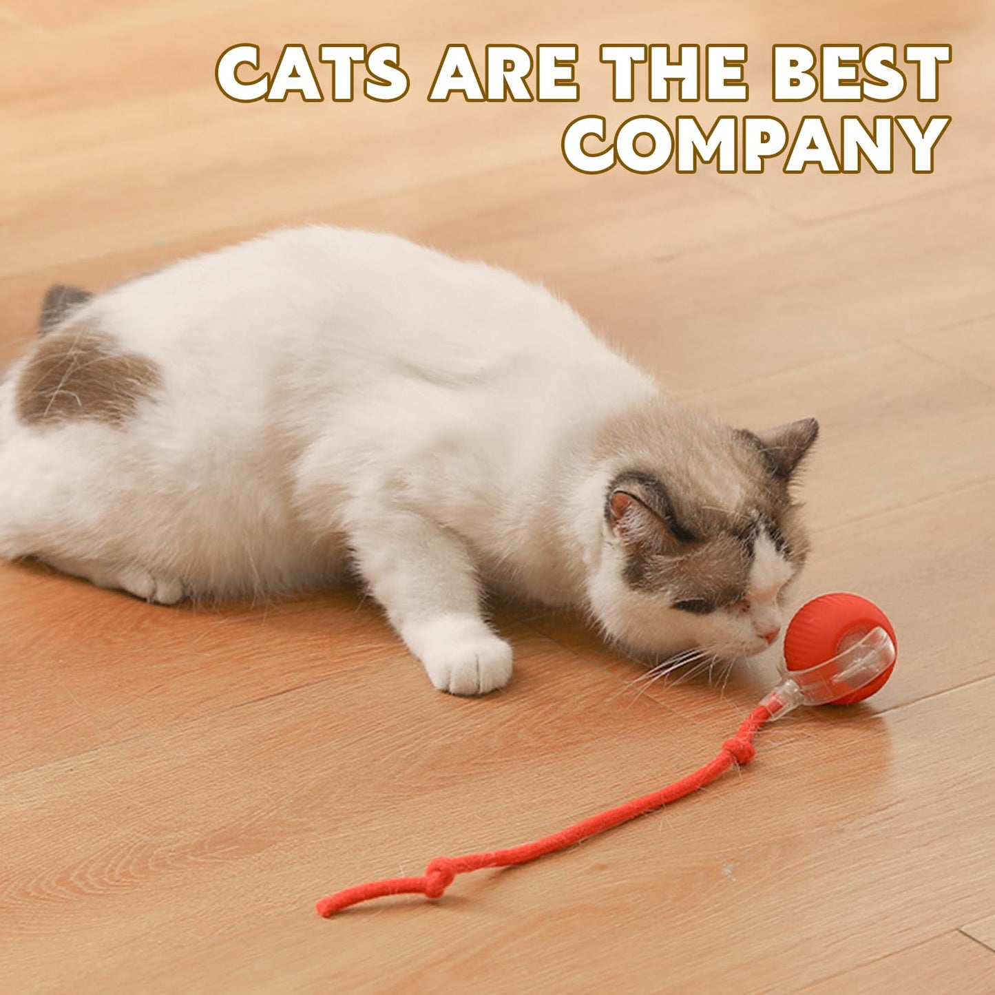 Viral Rolling Ball,Interactive Cat Ball Toy