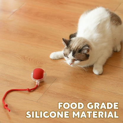 Viral Rolling Ball,Interactive Cat Ball Toy