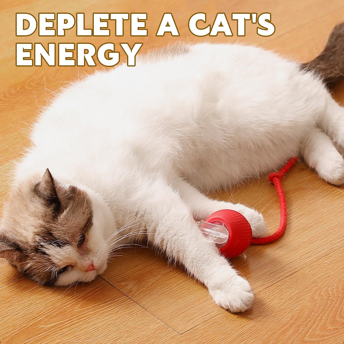 Viral Rolling Ball,Interactive Cat Ball Toy