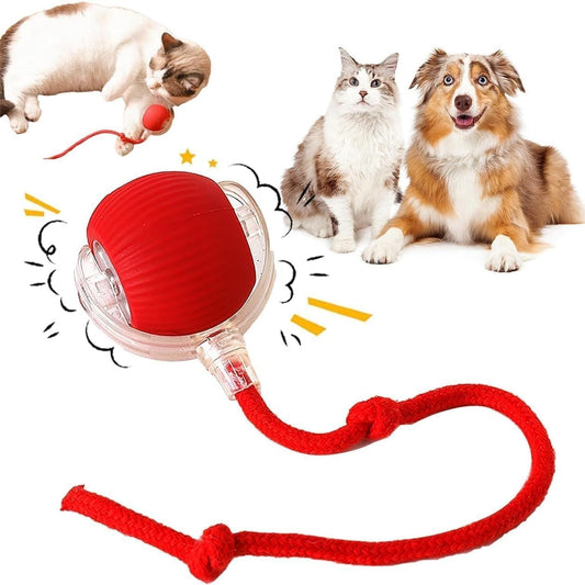 Viral Rolling Ball,Interactive Cat Ball Toy